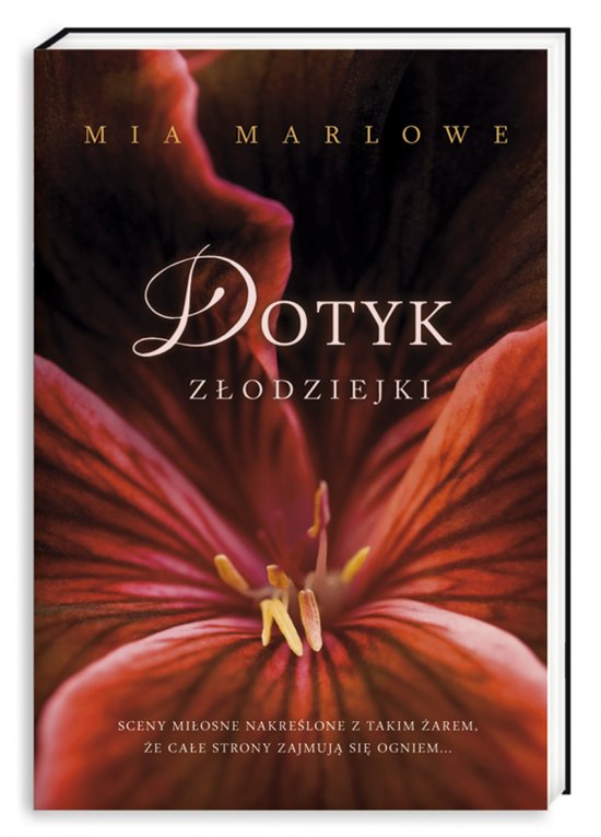 Dotyk z�odziejki