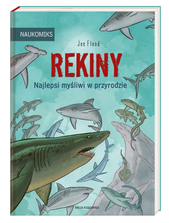 Rekiny - najlepsi my�liwi w przyrodzie