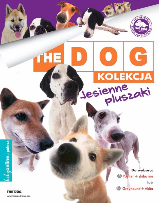 The Dog. Jesienne pluszaki