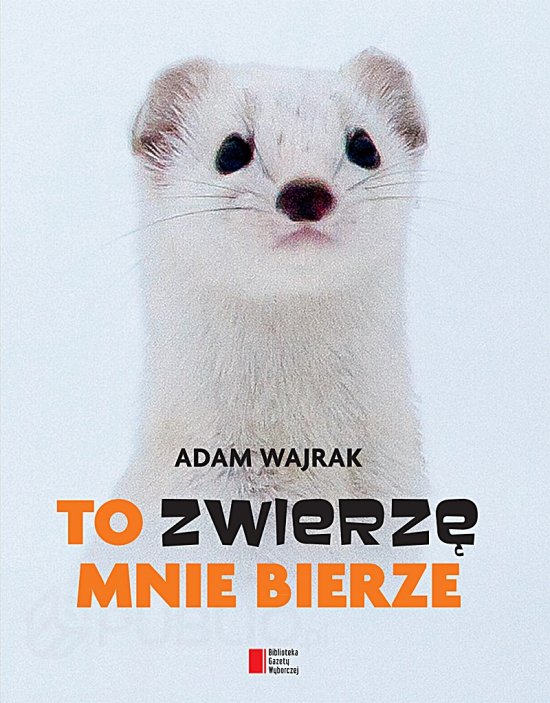 To zwierz� mnie bierze