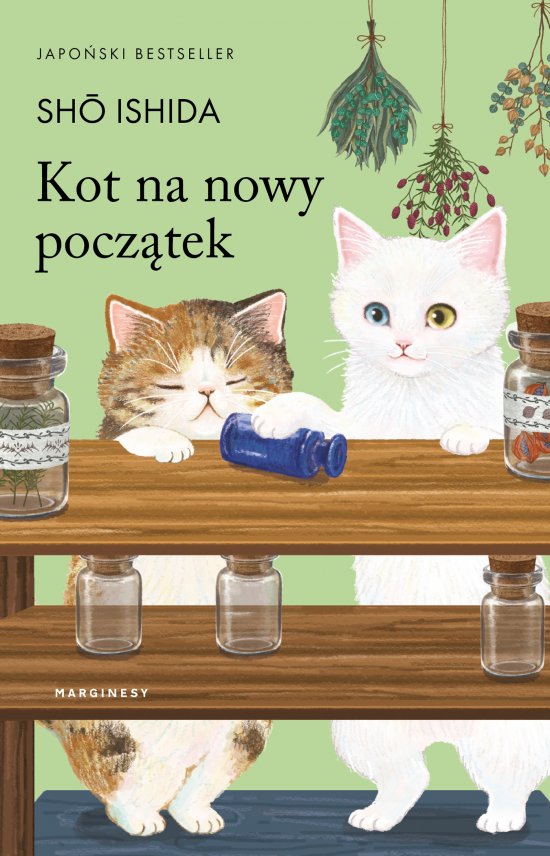 Kot na nowy pocz�tek