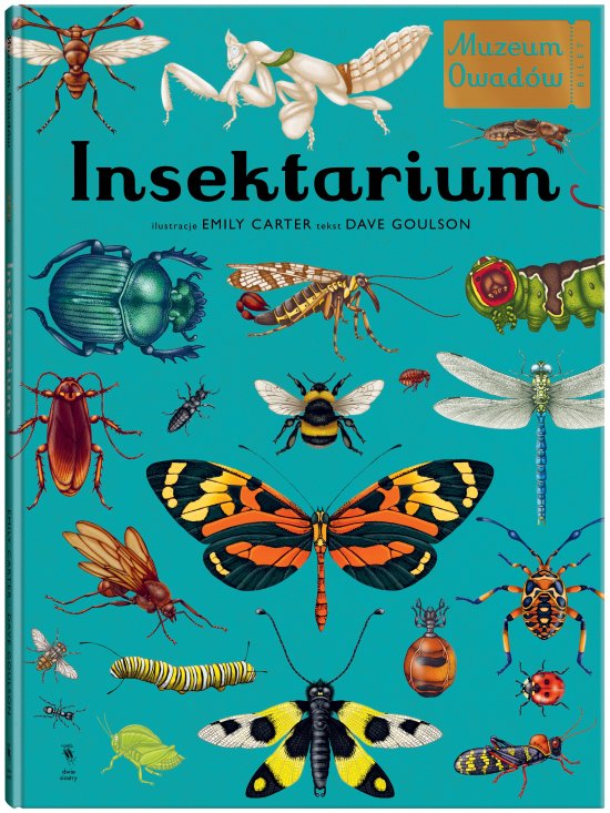 Insektarium. Muzeum Owad�w
