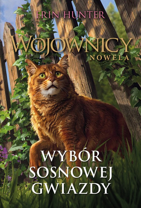 Wyb�r Sosnowej Gwiazdy