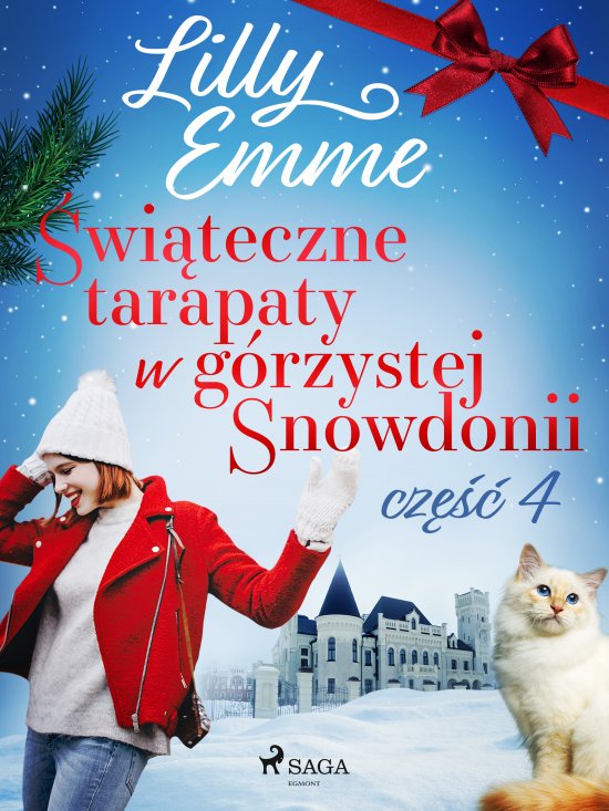 �wi�teczne tarapaty w g�rzystej Snowdonii - cz�� 4