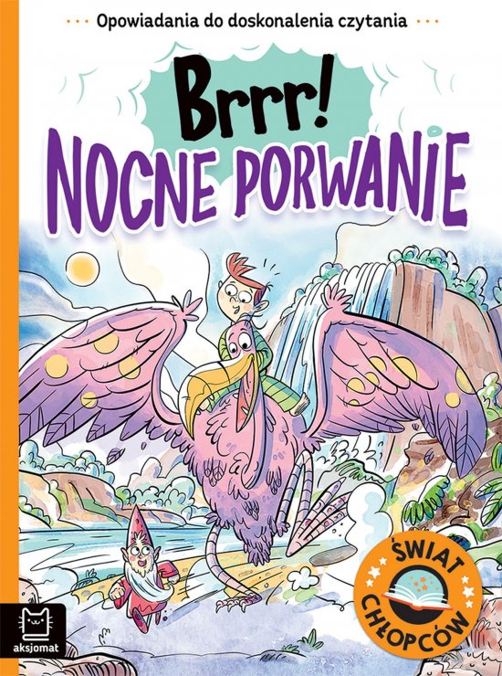 Opowiadania do doskonalenia czytania. �wiat ch�opc�w. Brrr! Nocne porwanie