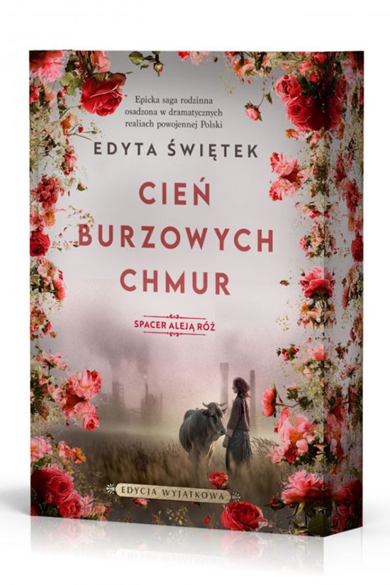 Cie� burzowych chmur. Spacer Alej� R� 1