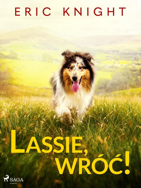 Lassie, wr��!