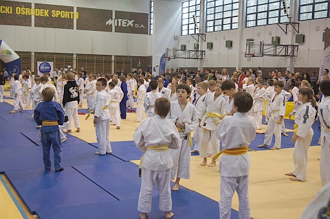 Biaoka potg w judo
