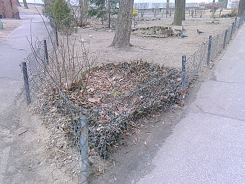Szegedyska: ziele wygrodzona starymi rurami hydraulicznymi