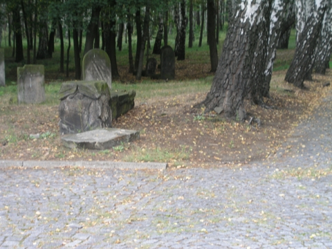 Cmentarz ydowski musi by pod ochron