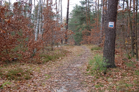 Wawerskie cieki rowerowe, czyli wielka ciema?