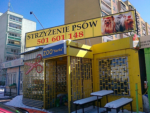 Psu nie mona patrze prosto w oczy. Wyznania pani groomer.