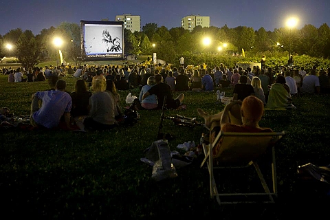 Kino pod chmurk w parku Brdnowskim