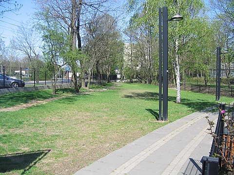 alt='Psy pobiegaj w parku Grczewska'