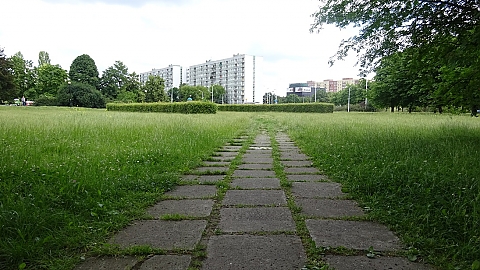 alt='Tajemnicze pytki w parku Brdnowskim. To chodnik, podjazd?'