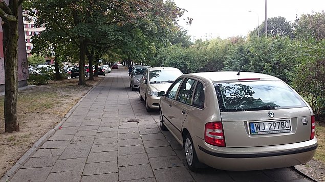 Co waniejsze dla Brdna: parkingi czy ksiki?