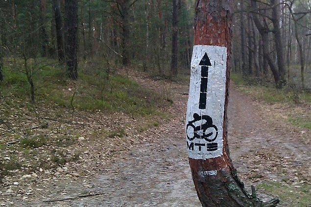 alt='Najlepsza w Polsce trasa rowerowa zaczyna si w Midzylesiu'