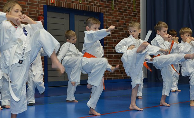 Karate - od dziecka do czarnego pasa. Masters Dojo trenuje cae rodziny