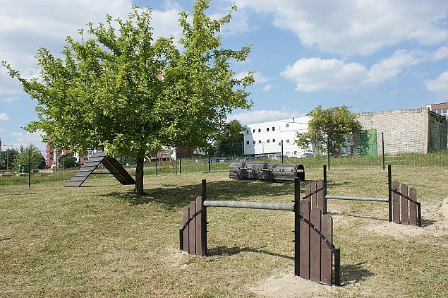 Na Targwku powstanie najwikszy psi park Warszawy?