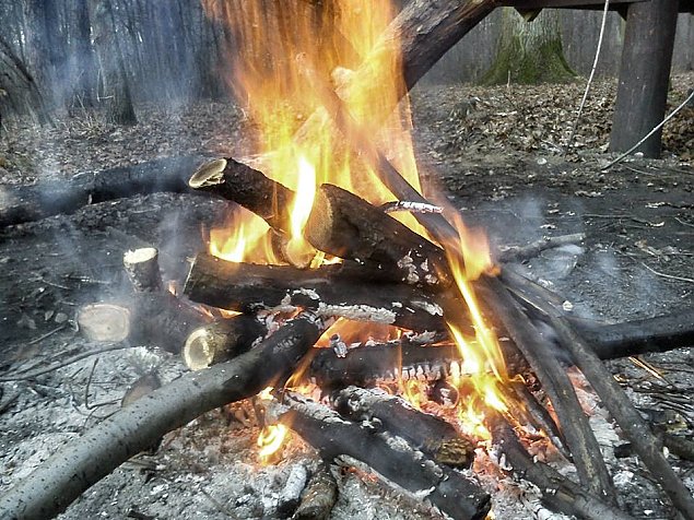 Koniec grillowania w Lesie Bemowskim