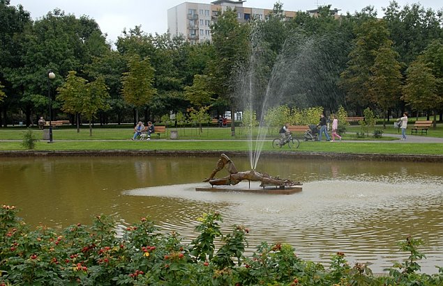 alt='Bdzie nowa rzeba w parku Brdnowskim'