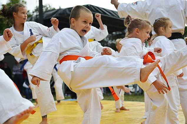 alt='Karate Kyokushin - sztuka anty-agresji'