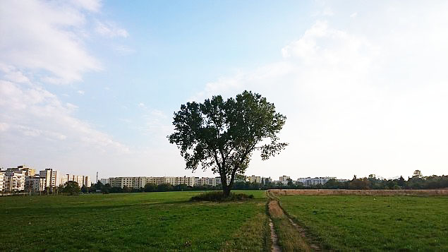 Nowa dzielnica na polu PGR. Przybdzie 2700 mieszkacw