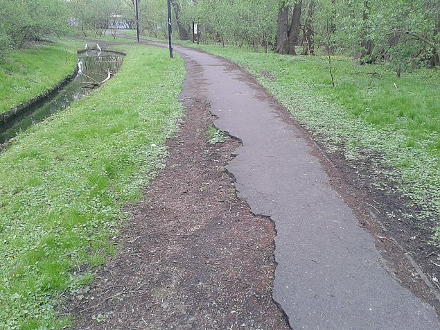 Pdziki i niezwykle cenny. Park Olszyna czeka w kolejce