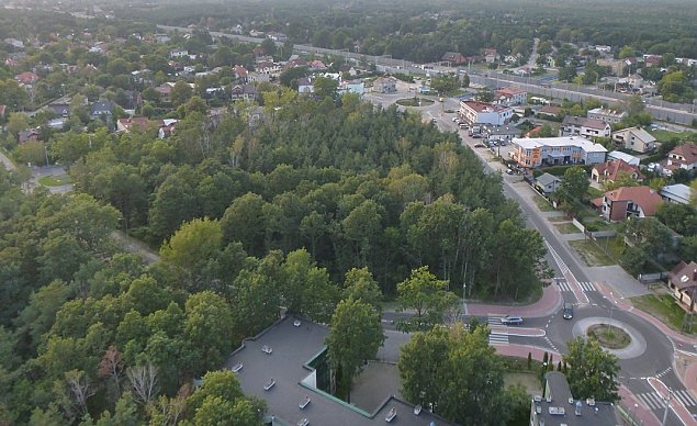 Dzieo zniszczenia dla straakw. "Ten lasek sadzili uczniowie"