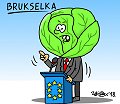 Brukselka