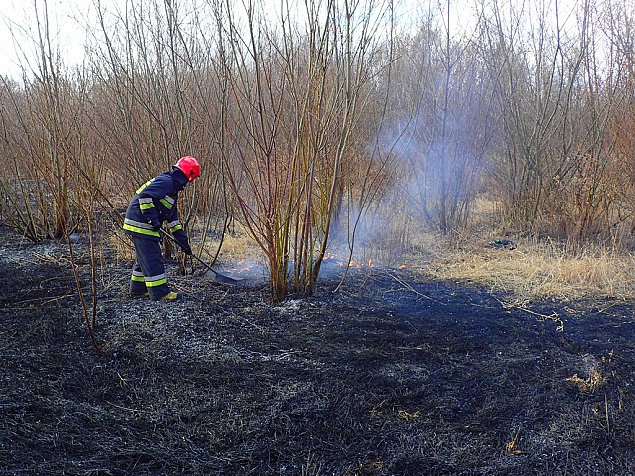 Płoną łąki wokół Nadarzyna. "Ogień zagraża ludziom"