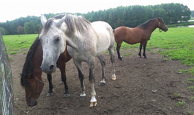 Zagroda Ojrzanów - wyjątkowe miejsce w okolicy