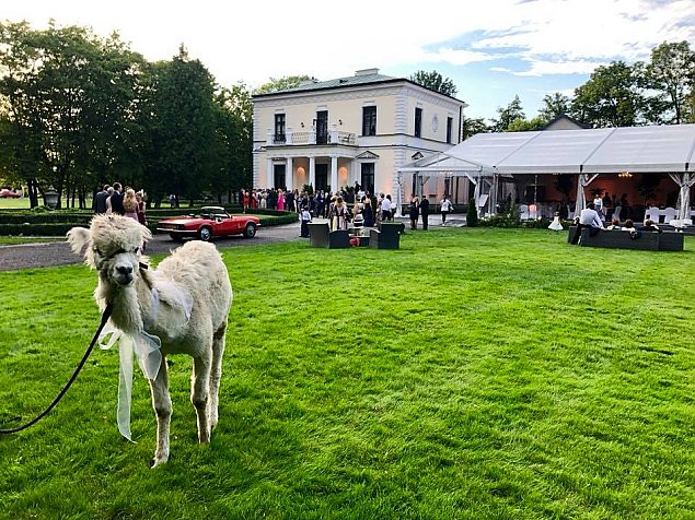 Spotkajmy się na pikniku w pałacu. Rozalin zachwyca