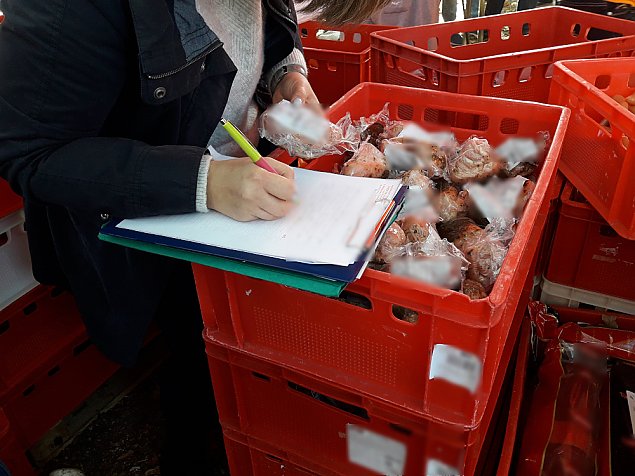 Nalot na Olimpi. Przeterminowane miso, lewe papierosy