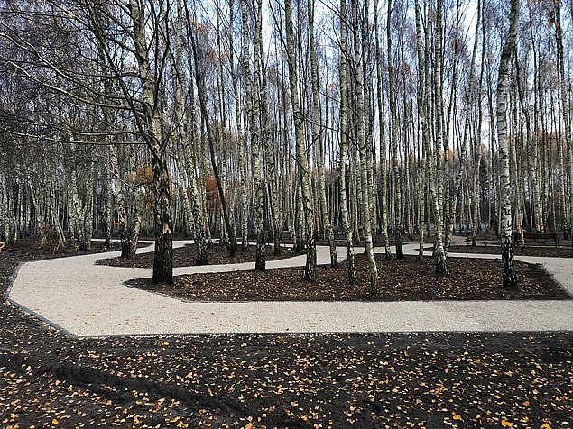 Klimatycznie i sportowo w Strzeniówce