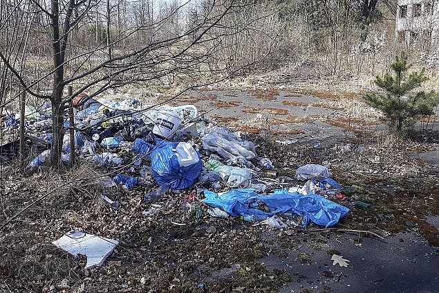 Śmieci więcej niż grzybów. "Opady wywozimy w tonach"