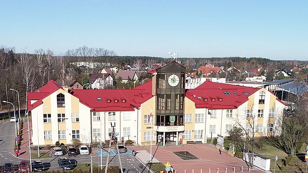 Mieszkańcom przeszkadzają mrówki i żaby. "Proszę wójta o interwencję"