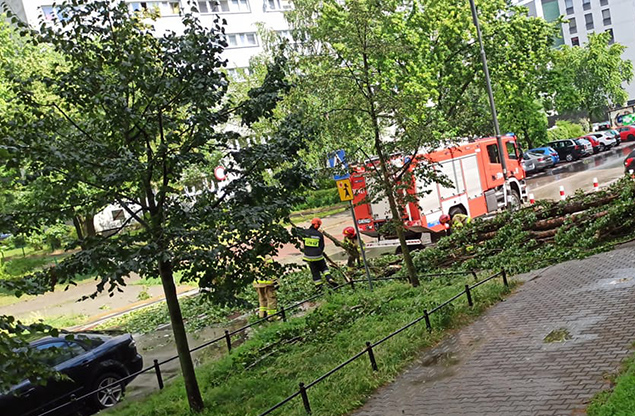 Burza w Warszawie. Powalone drzewa, utrudnienia