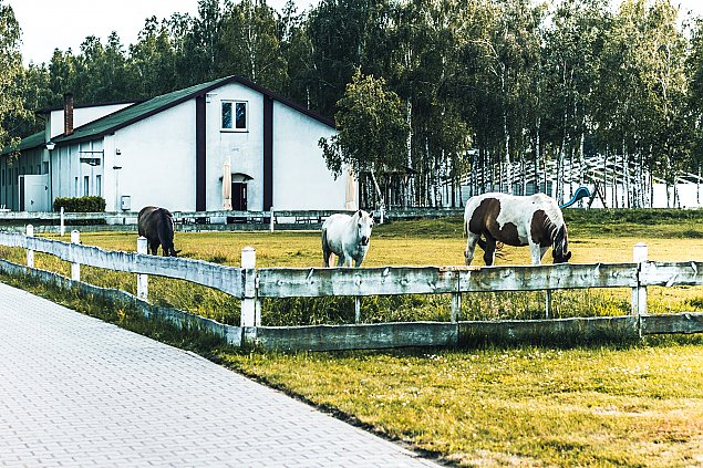 Wypoczynek 40 kilometrw od Warszawy