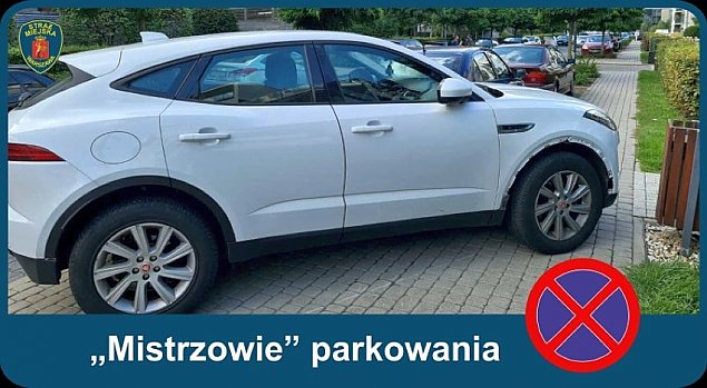 Stra miejska prezentuje: "Mistrzowie parkowania"