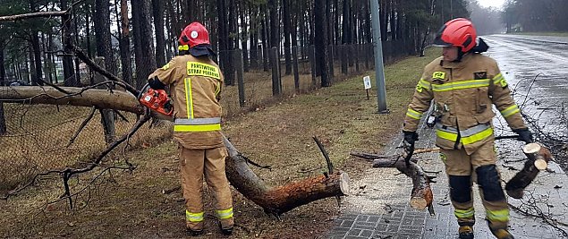 Wichura szalaa nad Warszaw. Ponad 250 interwencji