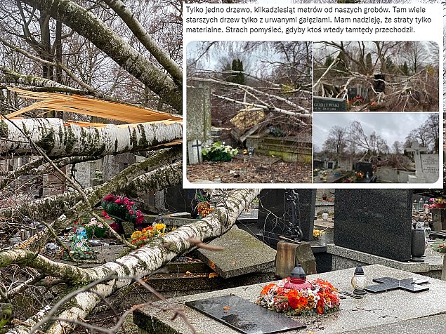 alt='Cmentarz Brdnowski po wichurze: powalone drzewa, zniszczone nagrobki'