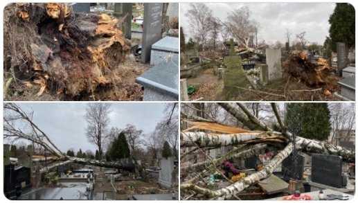 Cmentarz Brdnowski po wichurze: powalone drzewa, zniszczone nagrobki