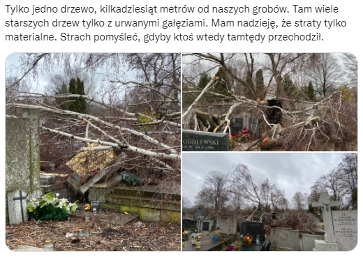 Cmentarz Brdnowski po wichurze: powalone drzewa, zniszczone nagrobki