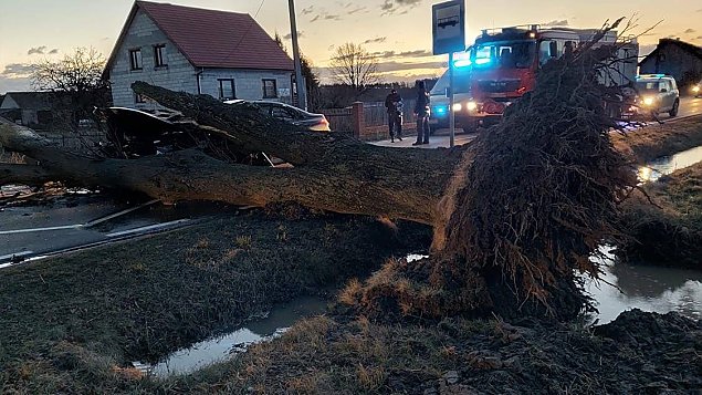 Wichura zrywaa dachy, wyrywaa drzewa. Tysice interwencji w Warszawie