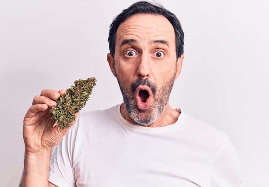 Medyczna marihuana - recepta na zdrowie? Sprawdzamy!