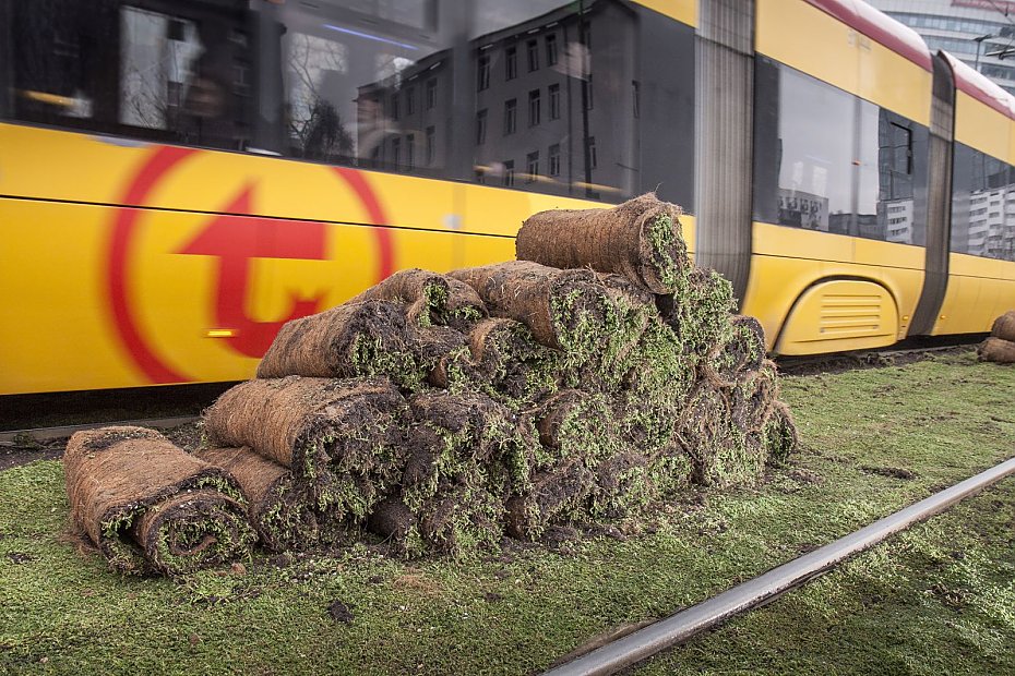 "Sianokosy" w centrum Warszawy? Tramwajarze zaskoczyli mieszkacw