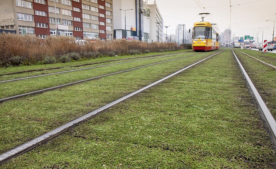 "Sianokosy" w centrum Warszawy? Tramwajarze zaskoczyli mieszkacw