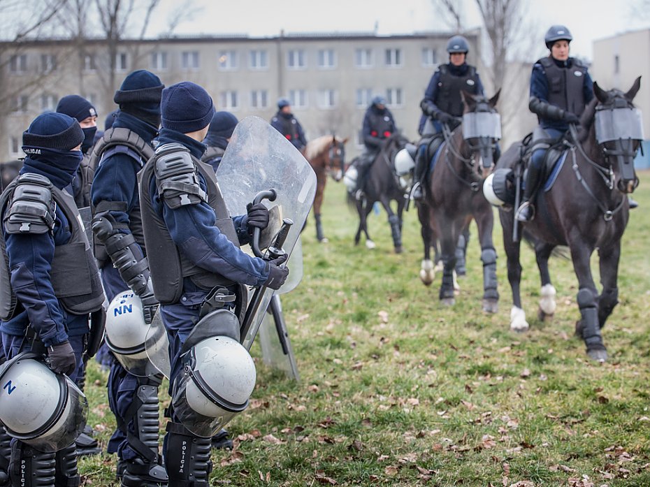 Trzydniowe szkolenie policyjnych koni w Warszawie [GALERIA]