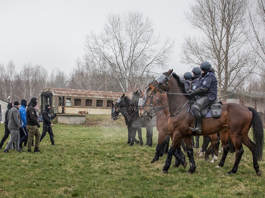 Trzydniowe szkolenie policyjnych koni w Warszawie [GALERIA]